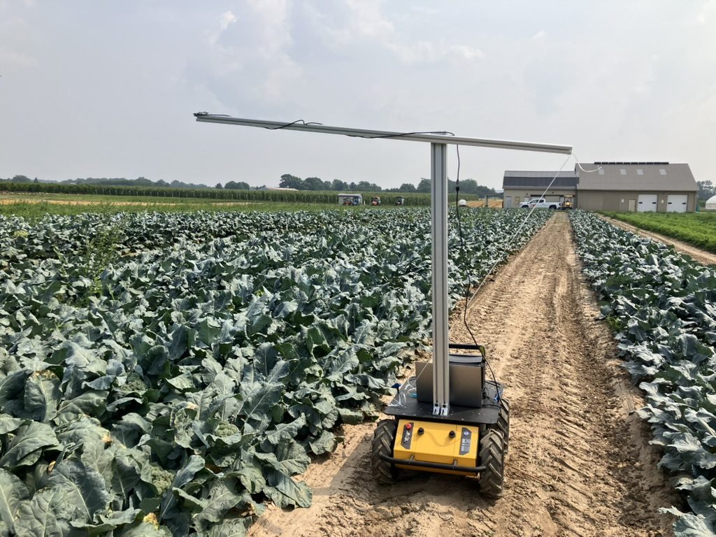 Autonomous sensing robot moving through a broccoli field